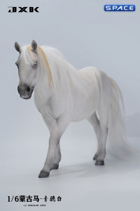 1/6 Scale Mongolian Horse (white)