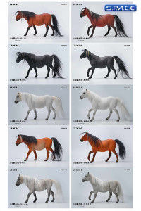 1/6 Scale Mongolian Horse (white)