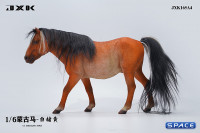 1/6 Scale Mongolian Horse (brown)