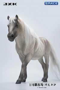 1/6 Scale Mongolian Horse (grey)