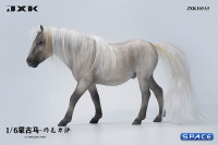 1/6 Scale Mongolian Horse (grey)