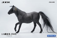 1/6 Scale jog trot Mongolian Horse (black)