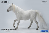 1/6 Scale jog trot Mongolian Horse (white)