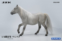 1/6 Scale jog trot Mongolian Horse (grey)