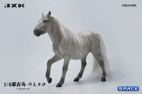 1/6 Scale jog trot Mongolian Horse (grey)