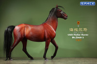 1/6 Scale Hailar Horse Version 3