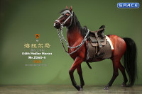 1/6 Scale Hailar Horse Version 3