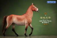 1/6 Scale Hailar Horse Version 4