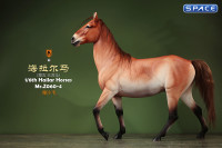 1/6 Scale Hailar Horse Version 4
