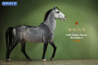 1/6 Scale Hailar Horse Version 5