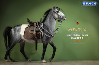 1/6 Scale Hailar Horse Version 5