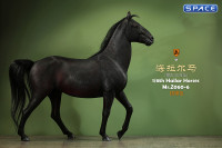 1/6 Scale Hailar Horse Version 6