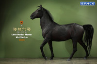 1/6 Scale Hailar Horse Version 6
