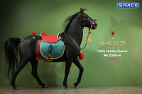 1/6 Scale Hailar Horse Version 6