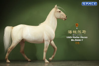 1/6 Scale Hailar Horse Version 7