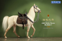 1/6 Scale Hailar Horse Version 7