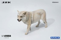 1/6 Scale Tibetan Wolf Version A1