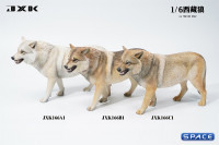 1/6 Scale Tibetan Wolf Version A1