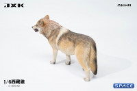 1/6 Scale Tibetan Wolf Version B1
