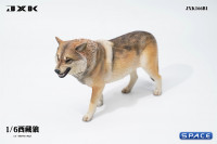 1/6 Scale Tibetan Wolf Version B1