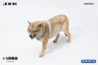 1/6 Scale Tibetan Wolf Version C1