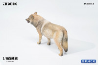 1/6 Scale Tibetan Wolf Version C1