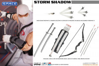 1/12 Scale Storm Shadow One:12 Collective (G.I. Joe)