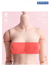 1/6 Scale upper body E-Cup (pale)