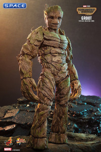 1/6 Scale Groot Movie Masterpiece MMS706 (Guardians of the Galaxy Vol. 3)