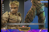 1/6 Scale Groot Movie Masterpiece MMS706 (Guardians of the Galaxy Vol. 3)