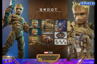 1/6 Scale Groot Movie Masterpiece MMS706 (Guardians of the Galaxy Vol. 3)