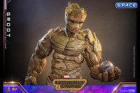 1/6 Scale Groot Movie Masterpiece MMS706 (Guardians of the Galaxy Vol. 3)