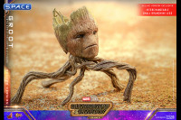 1/6 Scale Groot Deluxe Version Movie Masterpiece MMS707 (Guardians of the Galaxy Vol. 3)