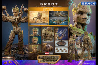 1/6 Scale Groot Deluxe Version Movie Masterpiece MMS707 (Guardians of the Galaxy Vol. 3)