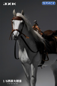 1/6 Scale Wild West Horse