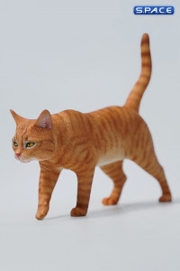 1/6 Scale Felis Catus Version A