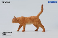 1/6 Scale Felis Catus Version A
