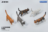 1/6 Scale Felis Catus Version A