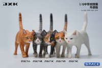 1/6 Scale Felis Catus Version A