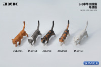 1/6 Scale Felis Catus Version A