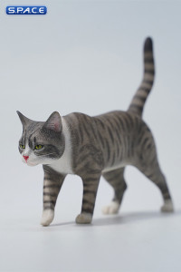 1/6 Scale Felis Catus Version B