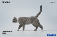 1/6 Scale Felis Catus Version B