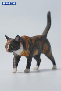 1/6 Scale Felis Catus Version C