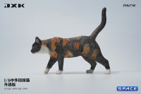 1/6 Scale Felis Catus Version C