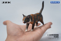 1/6 Scale Felis Catus Version C