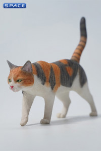 1/6 Scale Felis Catus Version D