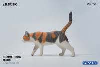 1/6 Scale Felis Catus Version D