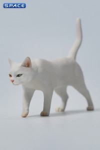 1/6 Scale Felis Catus Version E