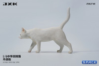 1/6 Scale Felis Catus Version E