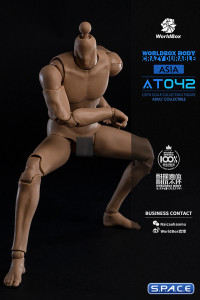 1/6 Scale Durable Body AT042